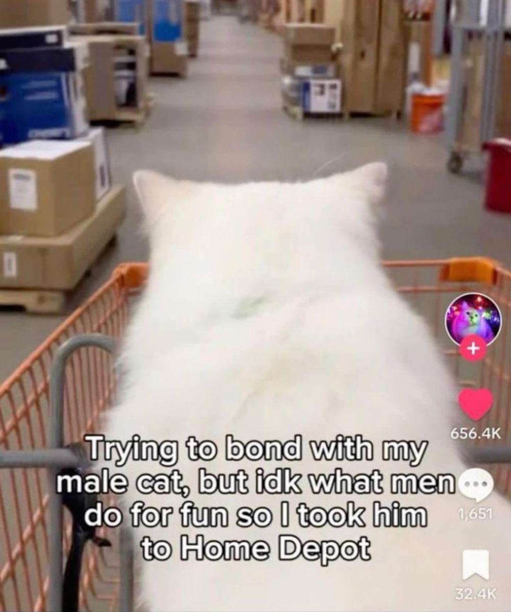 Images AI Could Never Recreate tweet media