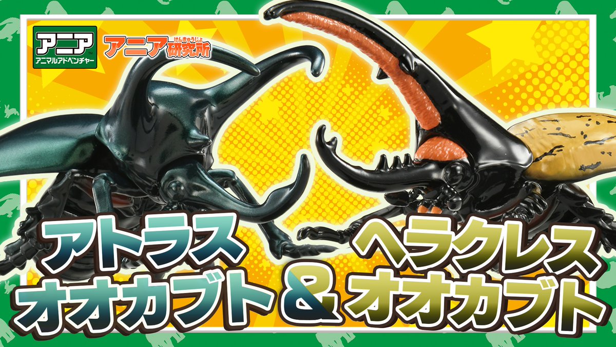 定価7.5万✨未使用 アディアム アニアトップ 24AW新作 バーガンディ M アニアキングダム｜タカラトミー公式 ブランド・キャラクター