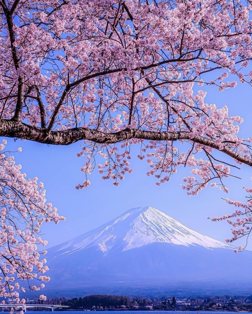 helena_mar19's tweet image. Good Morning 
Have a Wonderful Day 

(Japan,📷 Pinterest)