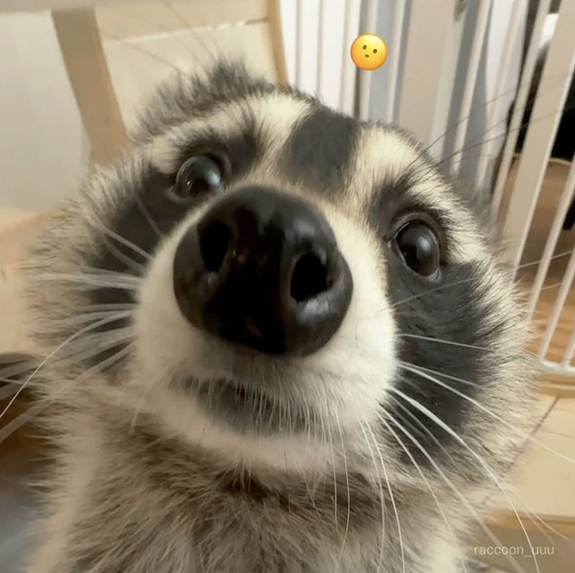 tsubutsububeans's tweet image. ふ