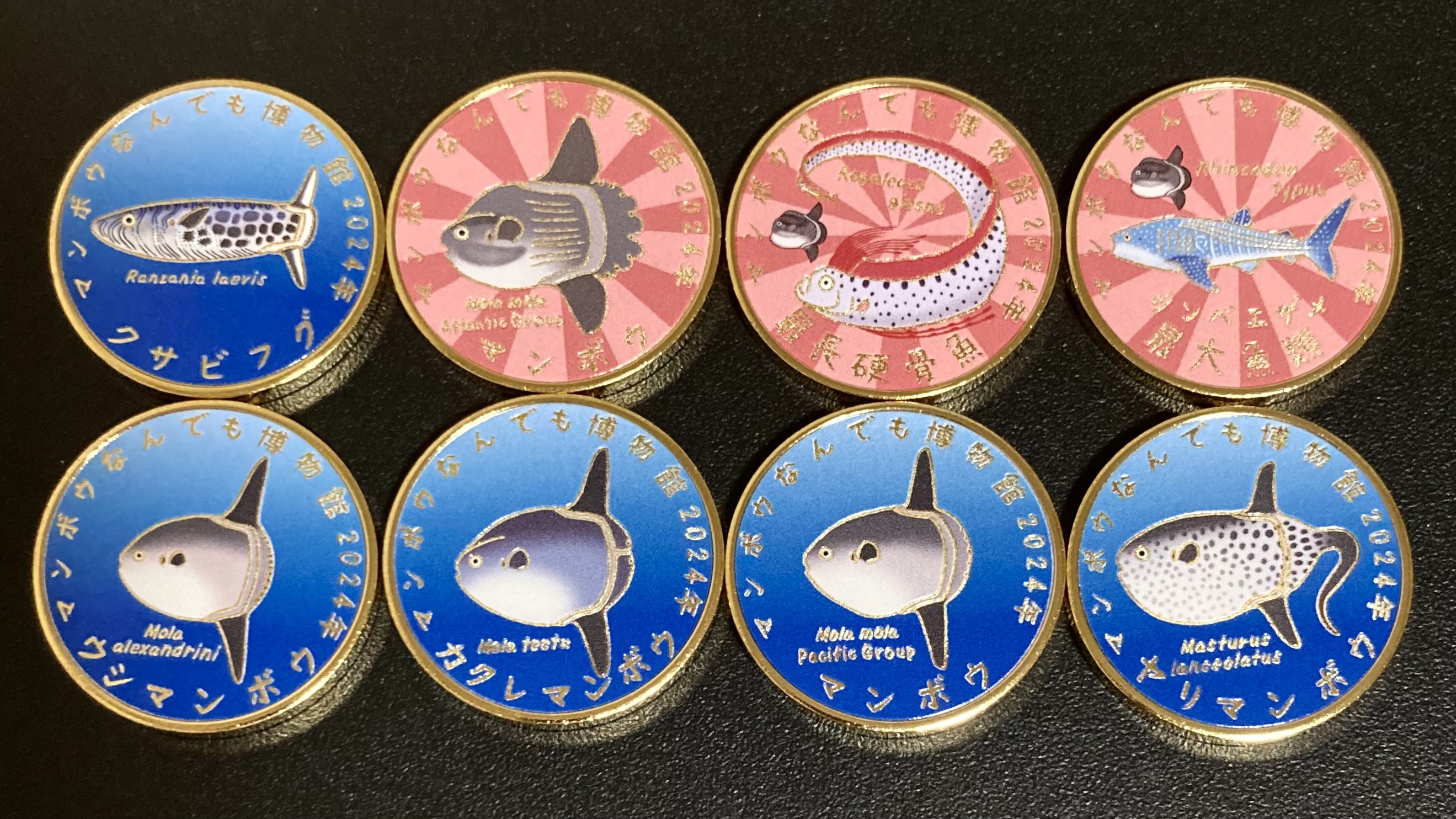志摩マリンランド☆マンボウ☆記念メダル☆茶平工業