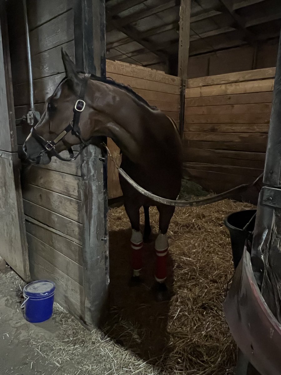 Hatz (@hatrat) on Twitter photo So we did a thing with a little help tonight. Welcome to the family My Friends Beer, aka Beerman! I can’t wait to spoil you! ♥️
<a href="/CrizTrish/">trish cruz</a> <a href="/JulieRamgeet/">Julie Ramgeet</a> <a href="/DH__Racing/">Designated Hitters Racing</a> <a href="/browch05/">Chris Brown</a> <a href="/jmpaquette/">Jessica Paquette</a> <a href="/JayOringer/">Jay oringer</a> & others not on social. All help big or small is appreciated more than words. 🙏🏼 So we did a thing with a little help tonight. Welcome to the family My Friends Beer, aka Beerman! I can’t wait to spoil you! ♥️
<a href="/CrizTrish/">trish cruz</a> <a href="/JulieRamgeet/">Julie Ramgeet</a> <a href="/DH__Racing/">Designated Hitters Racing</a> <a href="/browch05/">Chris Brown</a> <a href="/jmpaquette/">Jessica Paquette</a> <a href="/JayOringer/">Jay oringer</a> & others not on social. All help big or small is appreciated more than words. 🙏🏼