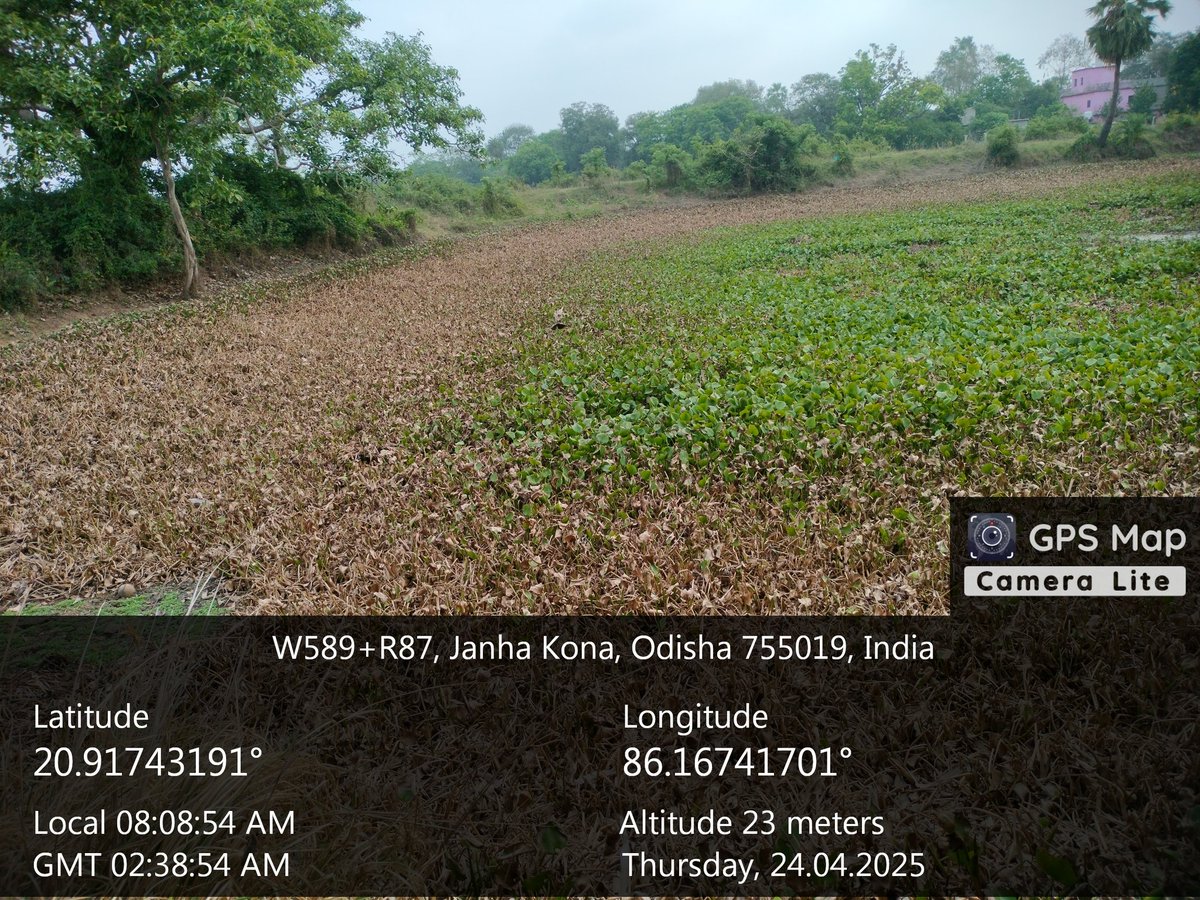 _chandan12's tweet photo. Hon'ble CM, our village pond has completely dried up. People & animals are suffering due to water crisis. Kindly intervene & arrange urgent solution. #WaterCrisis #SaveOurPond
@CMO_Odisha @dm_jajpur @spjajpur @MohanMOdisha @sambad_odisha https://t.co/36yTmZtYfS