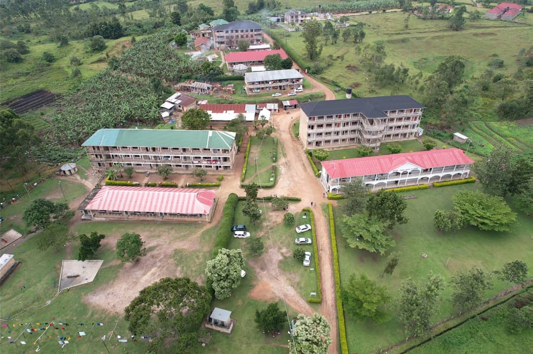 Good Morning from the mighty anthill of The Termites 😘🤝.