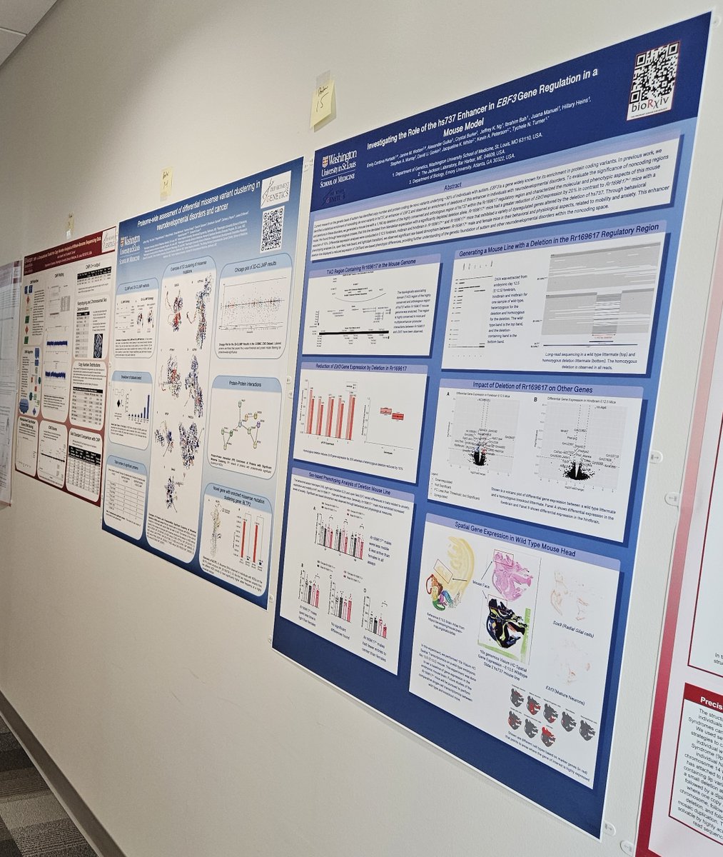 If you are in town for the 50th Anniversary Symposium, please stop by the posters from <a href="/TNTurnerLab/">TNTurnerLab</a> <a href="/WashUGenetics/">WashU Medicine Genetics</a> presented by Emily, Jack, &amp; Jeff! See you tomorrow!