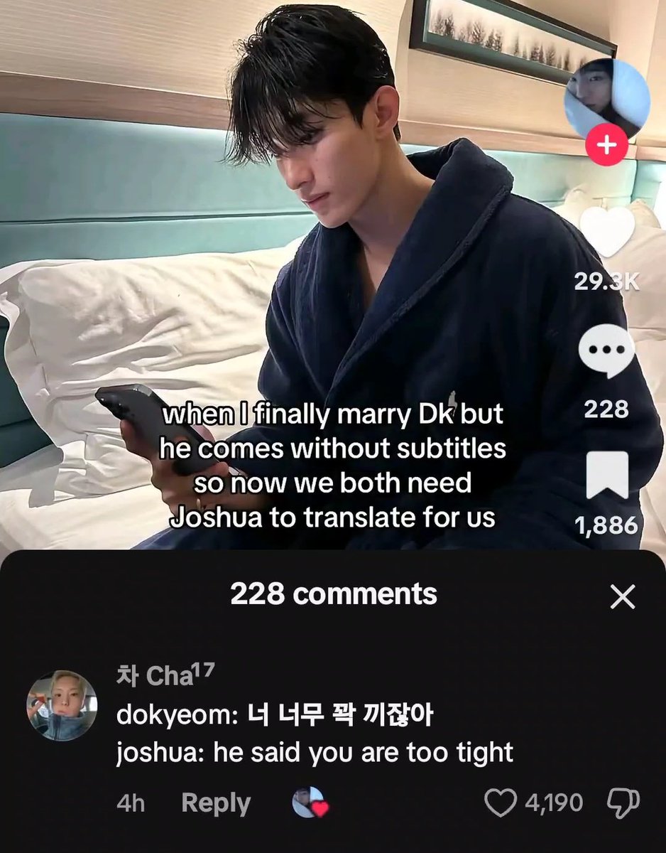 carat tiktok is certainly a unique place