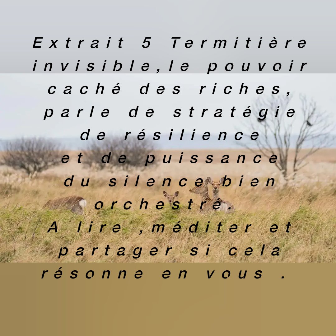 DOMINO PACEM (@dominopacem) on Twitter photo 