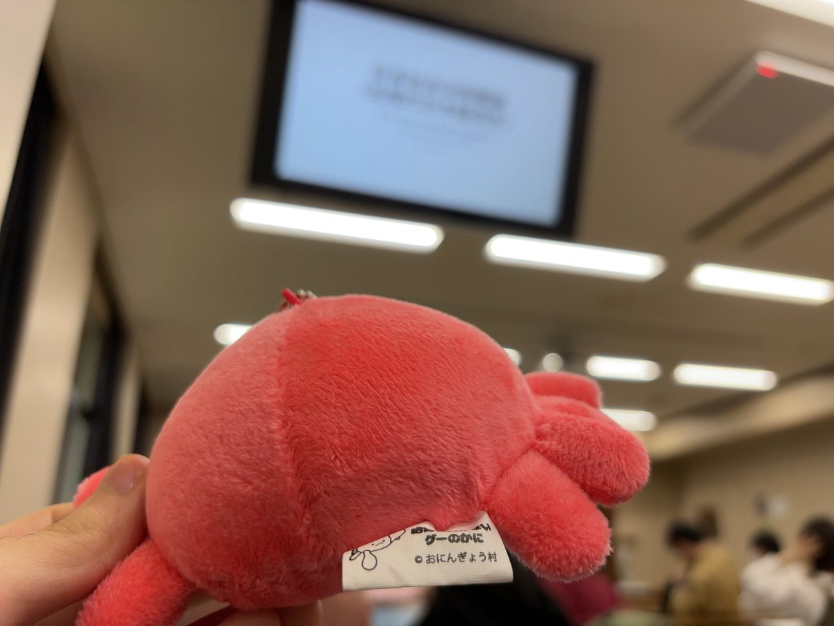 ぐーかに、授業だよ
授業、ぐーかにだよ