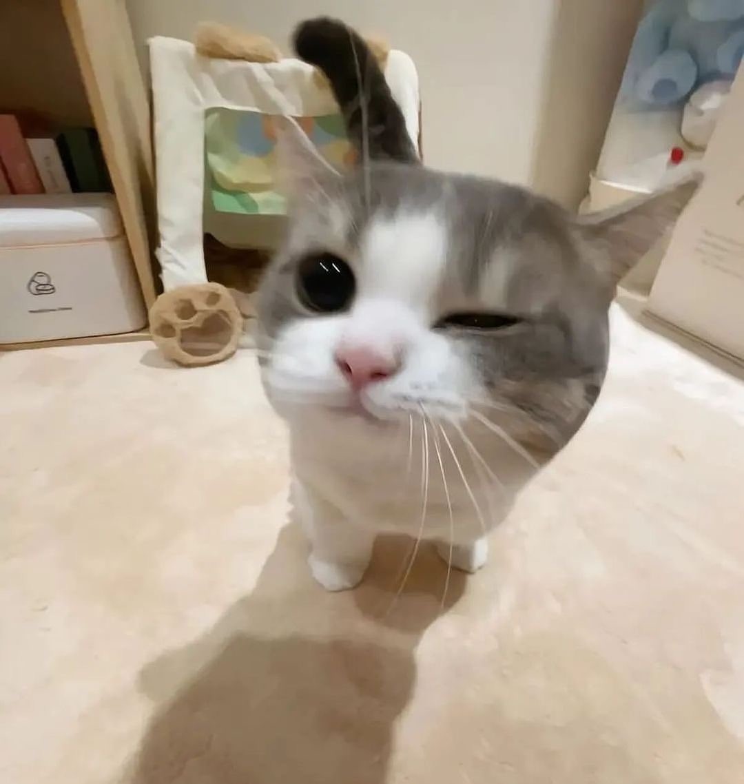 Hypothetically, if I made a cobblemon server with some friends who would want to join and also what mods would you guys recommend and want?

Obviously all hypothetically!