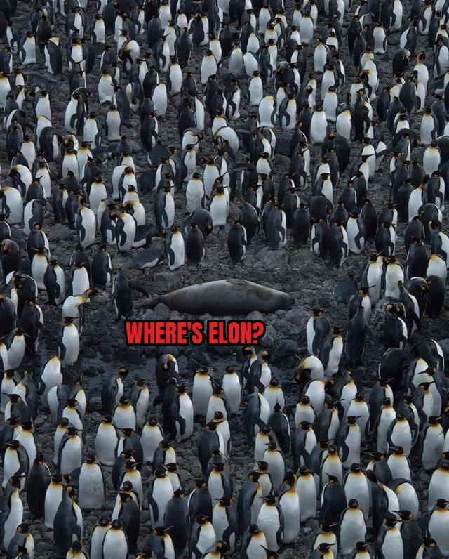 Uh-oh..I got a warning from X about this post that nobody will ever see because ELON makes sure the algorithms hide free speech.