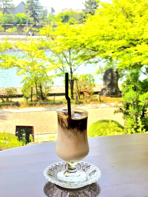 道端にスミレとタンポポが沢山生えてて可愛いその中に珍しく白いスミレ見つけた多分有明菫だとアプリは言う#毎日春ウォーキング 