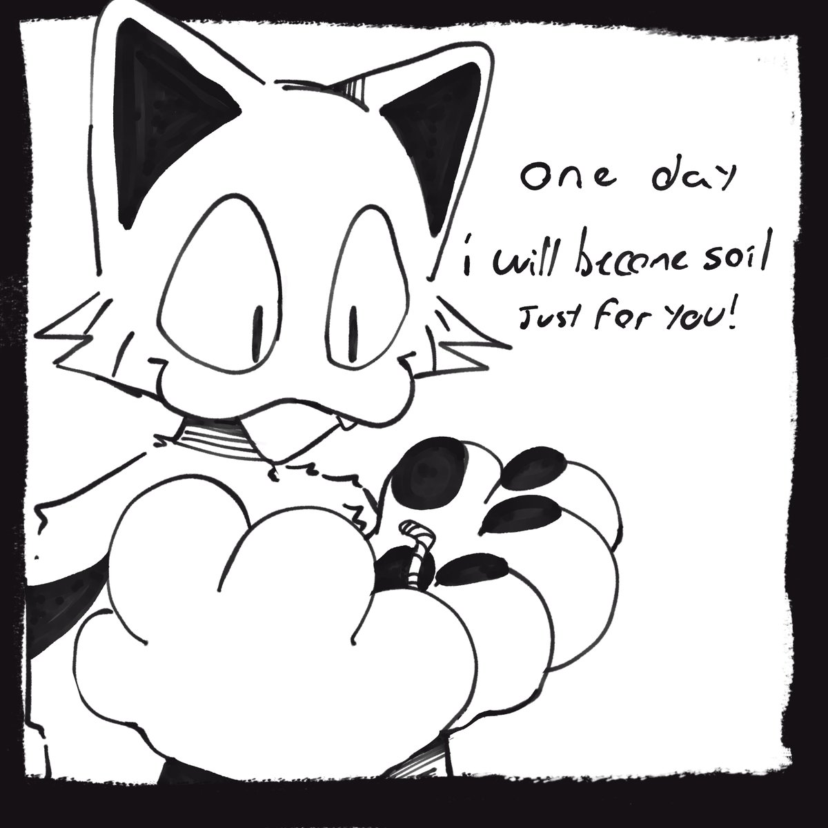 HQ (@feline_corp) on Twitter photo 