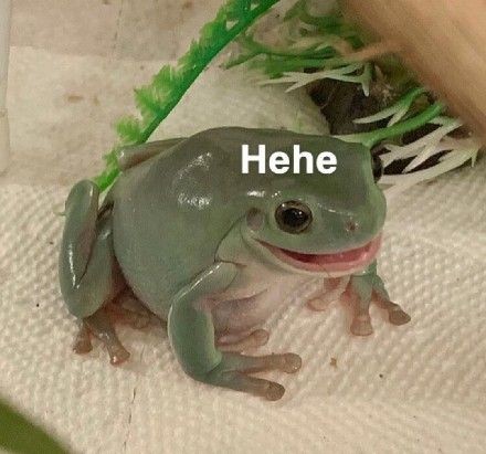 Parody:
เฮ้ย เฮ้ย พูดแล้วนะเจ้าหนู ใช่มั้ยล่ะ พวกพ้องฉันน่ารักสุดๆ ฮ่าๆๆ