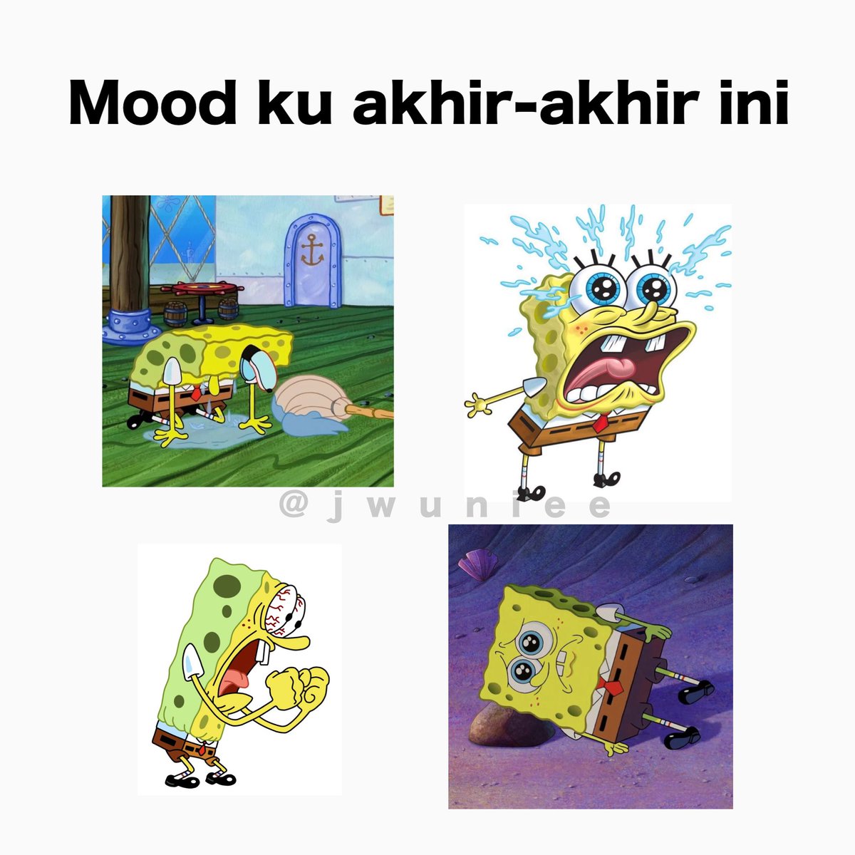 cinamoon tweet media