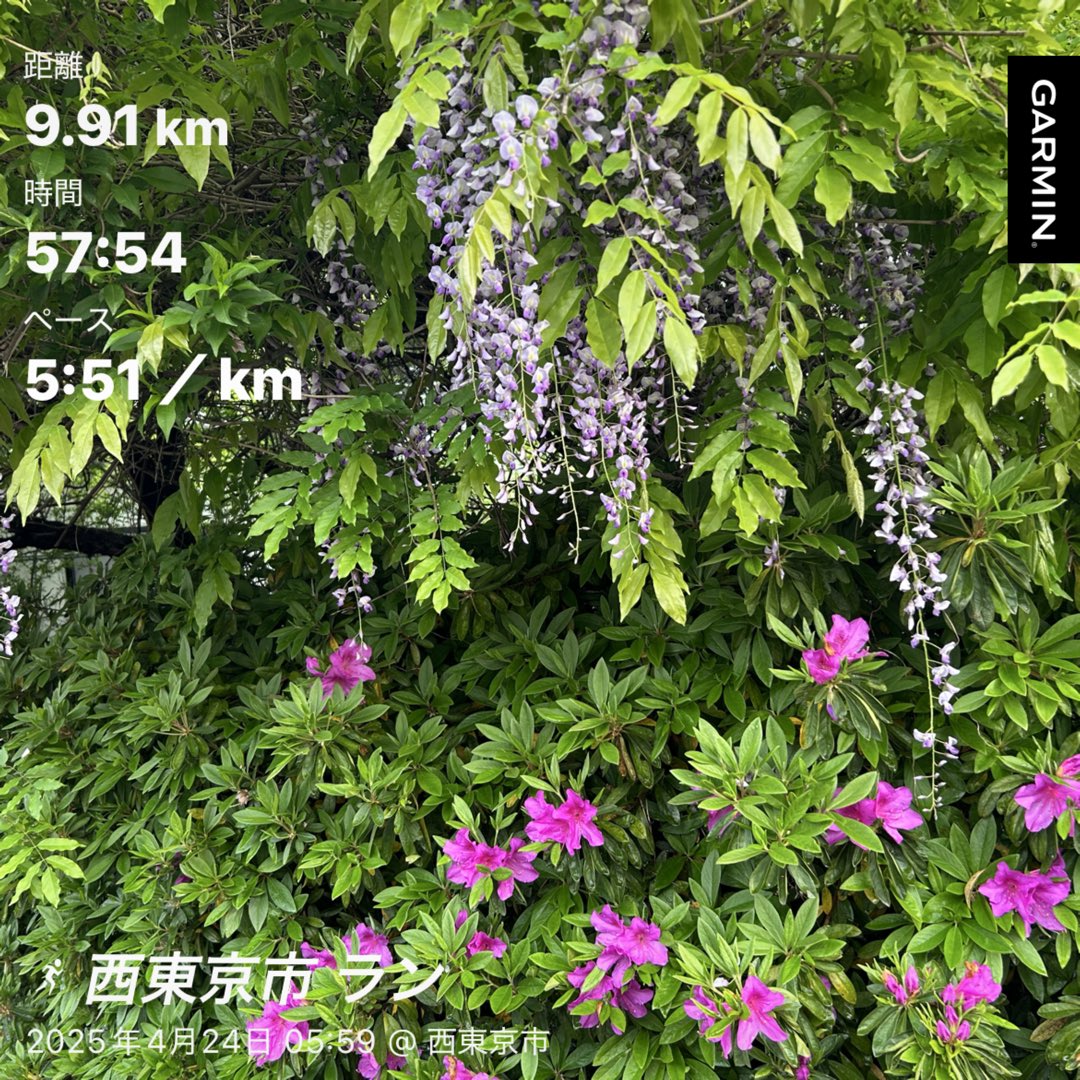 朝ラン
👟アディゼロSL2

最近走る距離短くなってるのにお菓子食べすぎかも🍪カロリー消費せねば