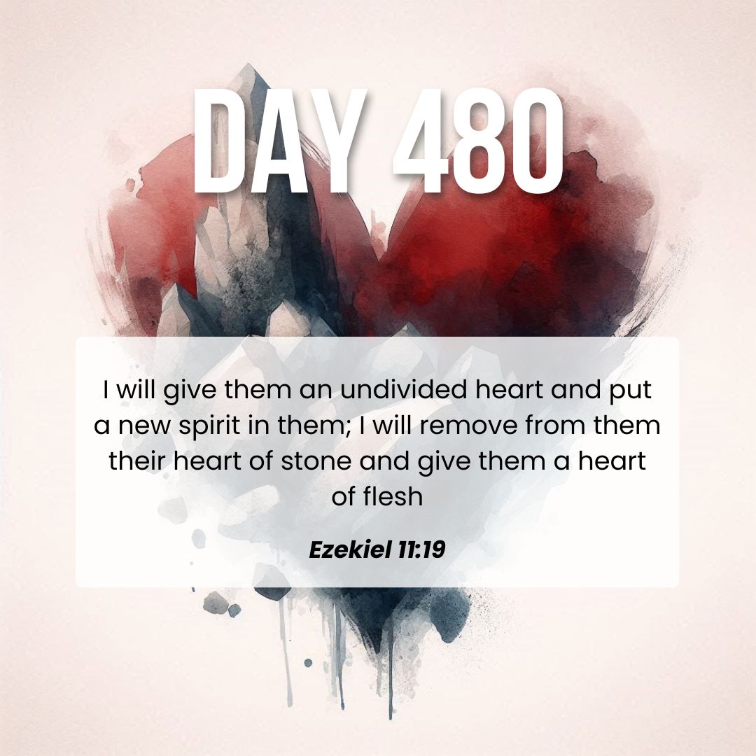 St Bs North London (@stbsnl) on Twitter photo 