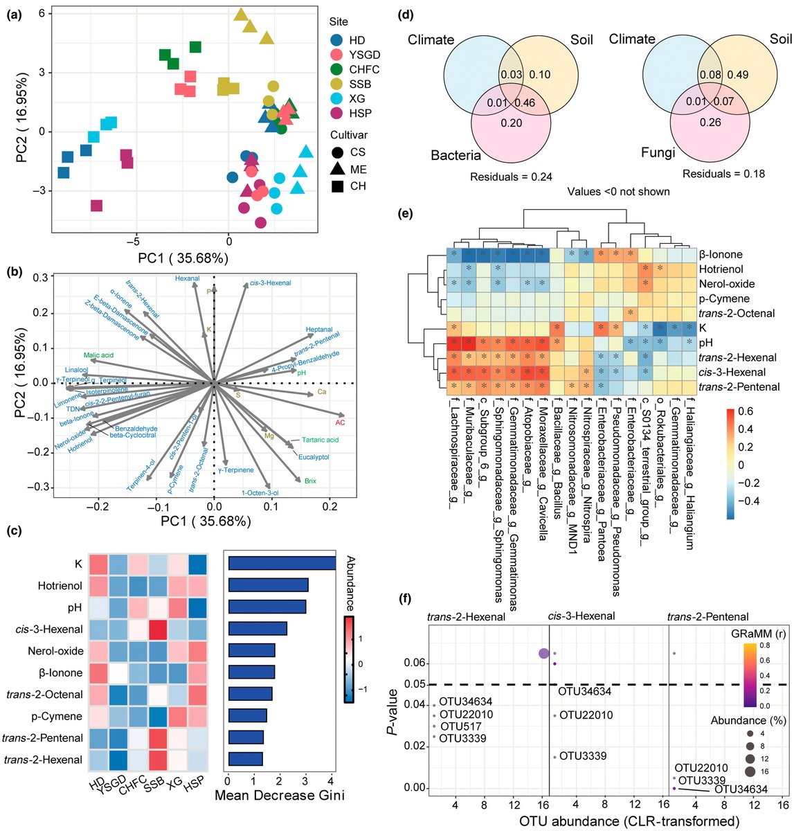New Phytologist (@newphyt) on Twitter photo Skin microbiota shapes berry aromatic typicality
Liu et al. <a href="/ZhanwuDai/">Zhanwu Dai</a> <a href="/Vinemonster83/">Erna Blancquaert</a>
📖 nph.onlinelibrary.wiley.com/share/UPBNEBTH… Skin microbiota shapes berry aromatic typicality
Liu et al. <a href="/ZhanwuDai/">Zhanwu Dai</a> <a href="/Vinemonster83/">Erna Blancquaert</a>
📖 nph.onlinelibrary.wiley.com/share/UPBNEBTH…