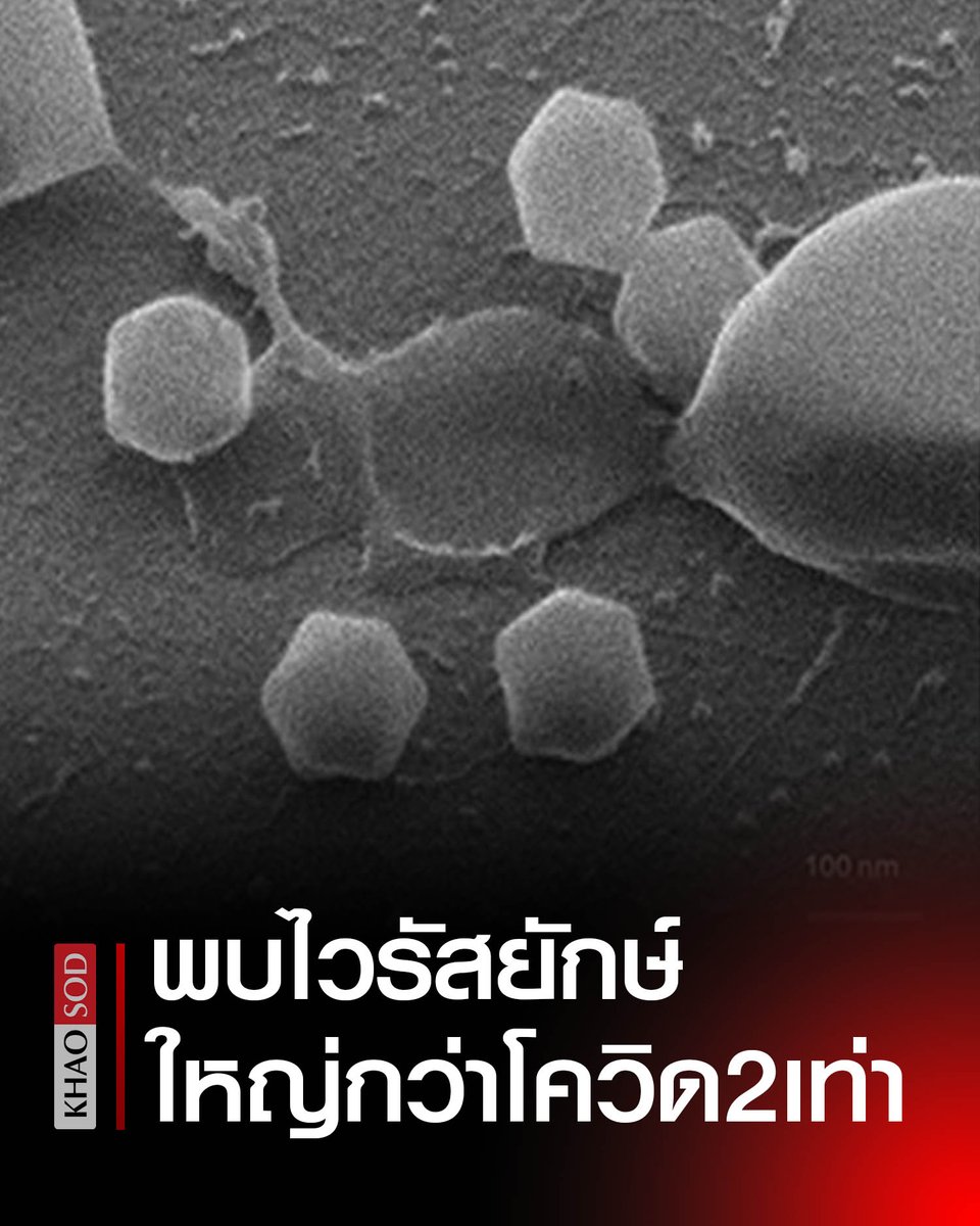 Khaosodonline tweet media