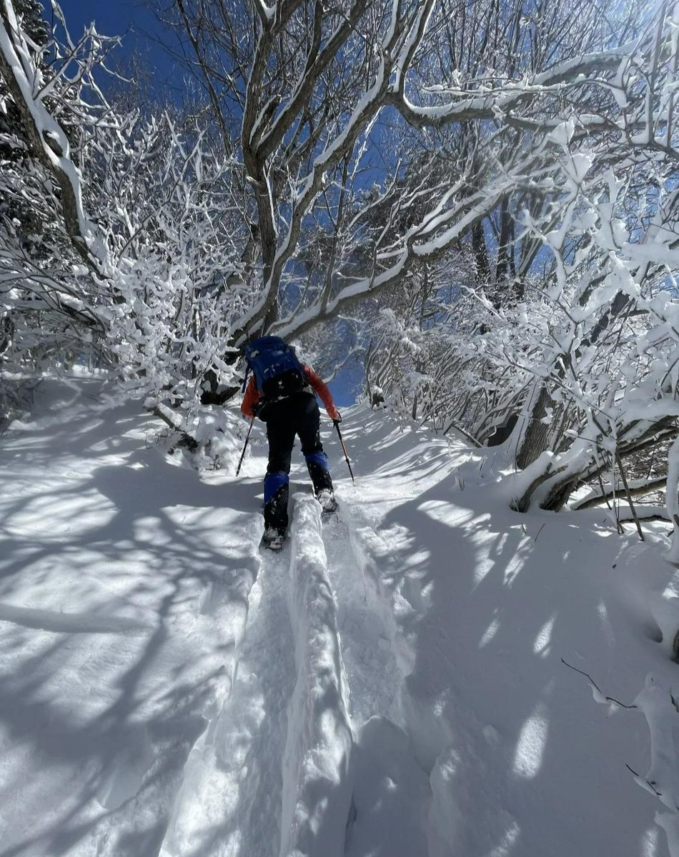 水曜日の大雪🌨️に間に合って、雪遊びをしに急いで早朝に出発！ 雪山の最後の季節を堪能しました～
群馬～山梨～長野へ行ってきたよ。
でも、強風🌬️のため、今年もみどり池から硫黄岳に登頂できませんでした…残念！