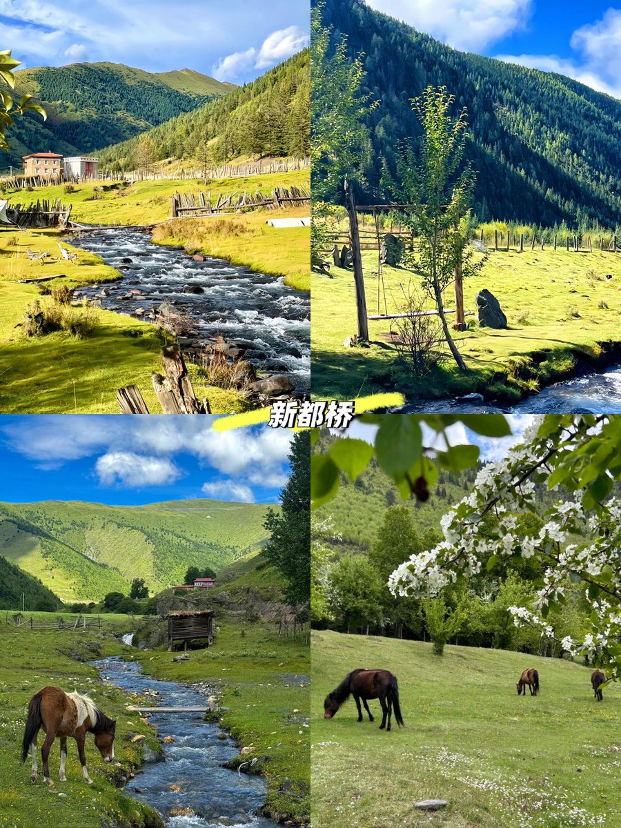 GanziChina's tweet image. Hiking in Ganzi? Don't miss these gems: Xinduqiao, Litang, Daocheng Yading, and Yuzixi!
#GanziGuide #SpringTrip #Ganzi #Travel #Tourism #China #Sichuan #hiking