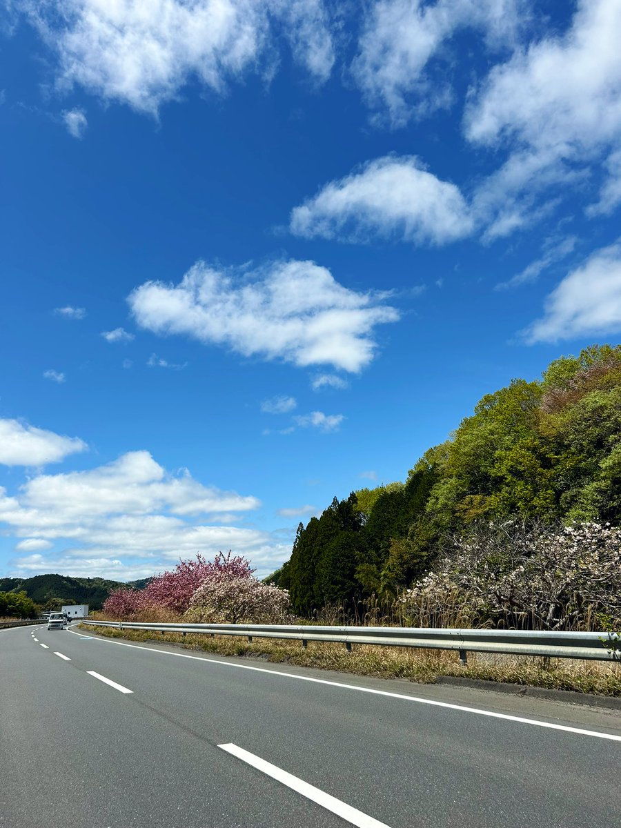 のどかー気持ちいい😌✨