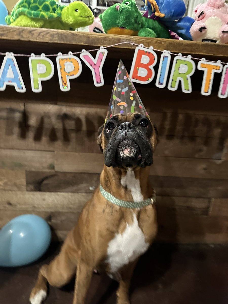 My babies turned 1 today 🎂