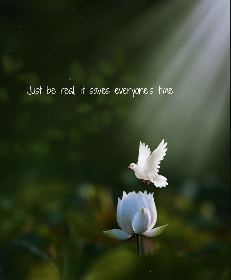 POSITIVITY (@positivitysaid) on Twitter photo 