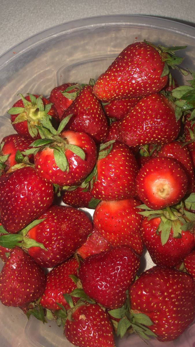 ElashteaaH's tweet photo. @Manymoh70342570 🤣🤣🤣
نمشيها فراوله https://t.co/NVG7StvWlN