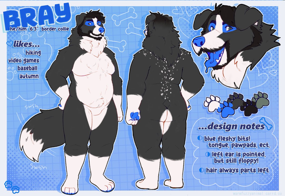 ref sheet commission for @/thatbluejayscollie on the blue website!