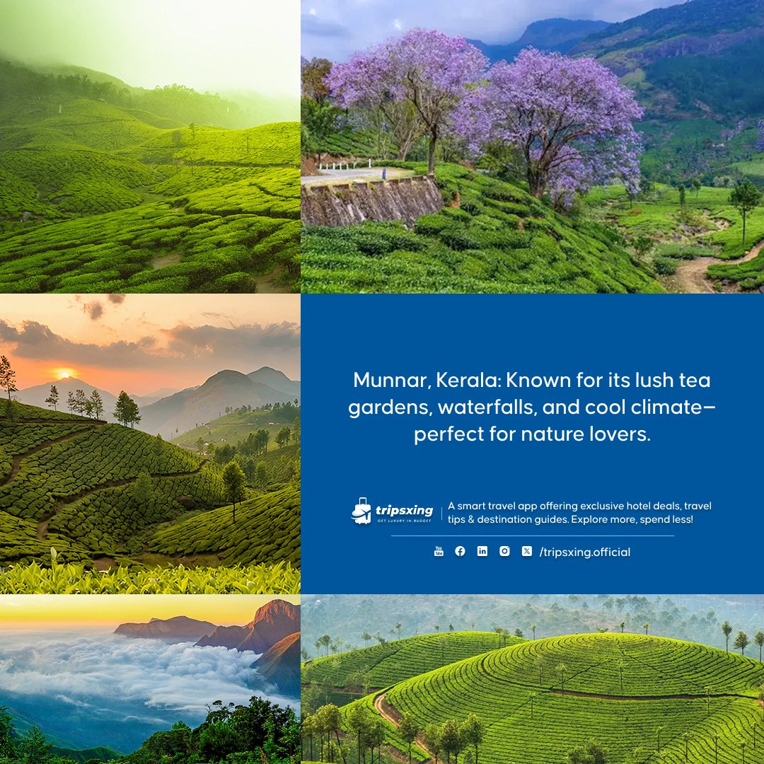 tripsxing_'s tweet photo. Escape to the lush green hills of Munnar, where the air is cool, the tea plantations stretch endlessly, and nature takes center stage. 🌿🍃 A perfect spot for a refreshing summer retreat. 🏞️

#TripsXing #Munnar #TeaGardenViews #HillStationVibes #KeralaGetaway https://t.co/a3zuwoqcj4
