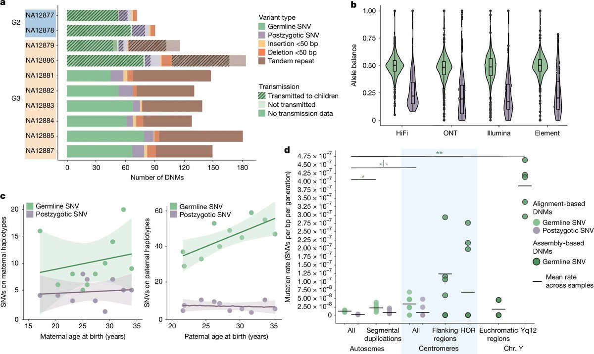 Complete view of de novo mutation rate across the genome estimated from a four-generation pedigree using five complementary short and long read sequencing technologies. 

The authors estimate  98–206 DNMs per transmission:
 - 74.5 SNVs 
 - 7.4 tandem repeats 
 - 65.3 structural