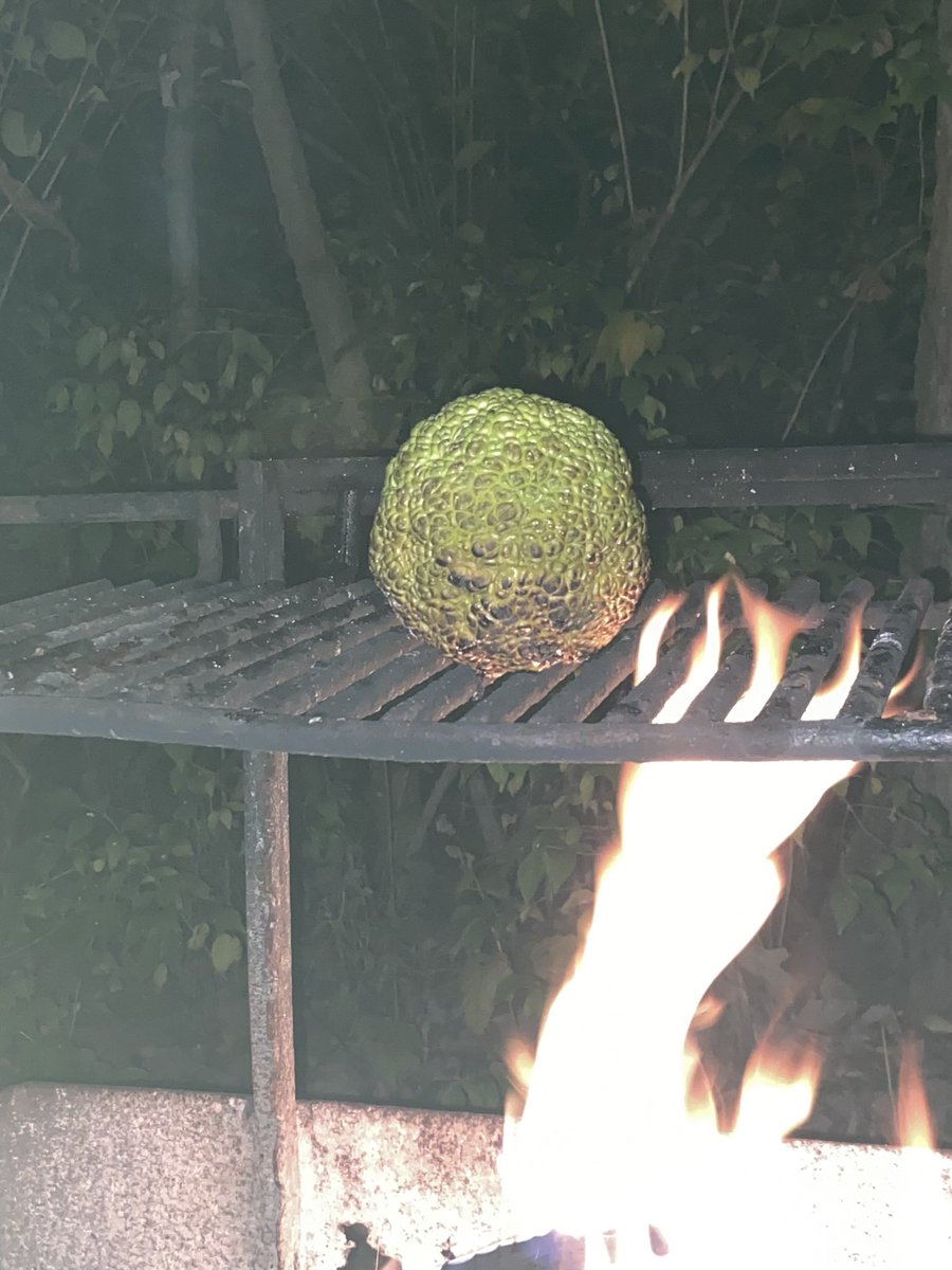 ktlyn111's tweet photo. Also they don’t burn if anyone’s curious the black was just from the grill 😐 https://t.co/v1x1e5PcGr