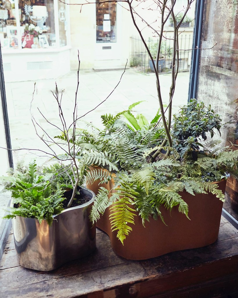 Tom Faulkner tweet media