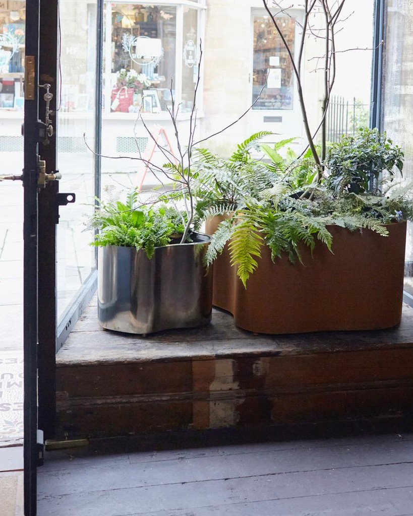 Tom Faulkner tweet media