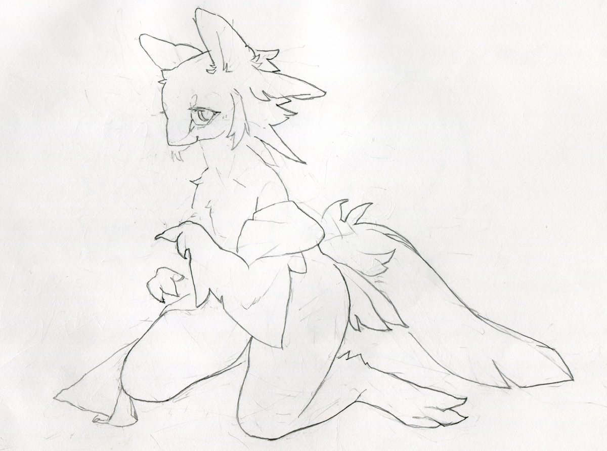 Lepus (@lepus_kuku) on Twitter photo 