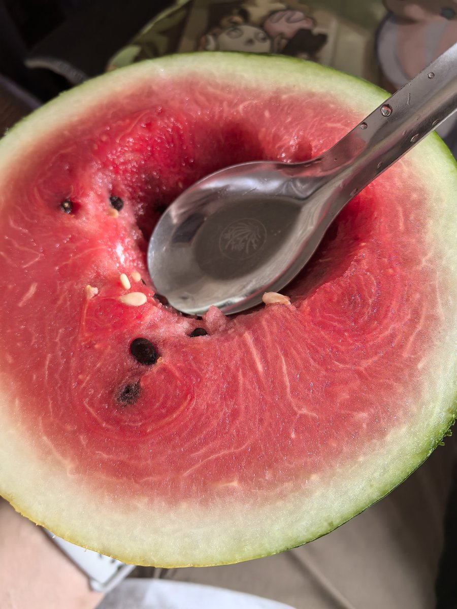 Zhenxun_VR's tweet photo. 炎炎夏日西瓜的正确吃法🍉🍉🍉 https://t.co/ktqXbNRQll