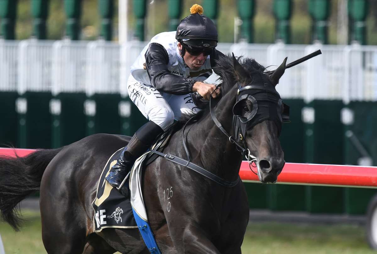 LOVERACING.NZ tweet media