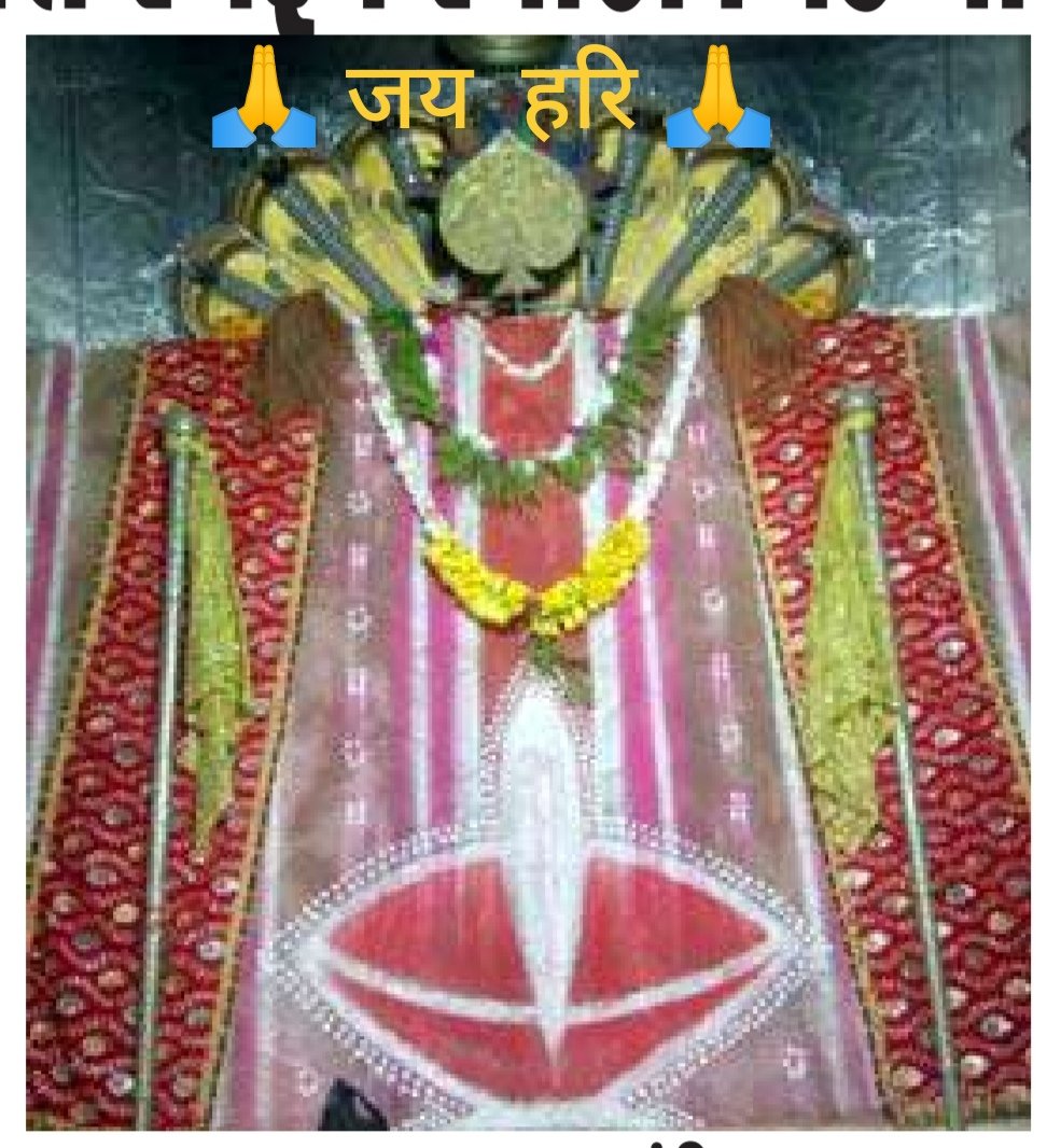 गुजरात के पाटन शहर में मीट्टी से बनीं हुईं प्रतिमा श्री पद्मनाभ भगवान मंदिर।