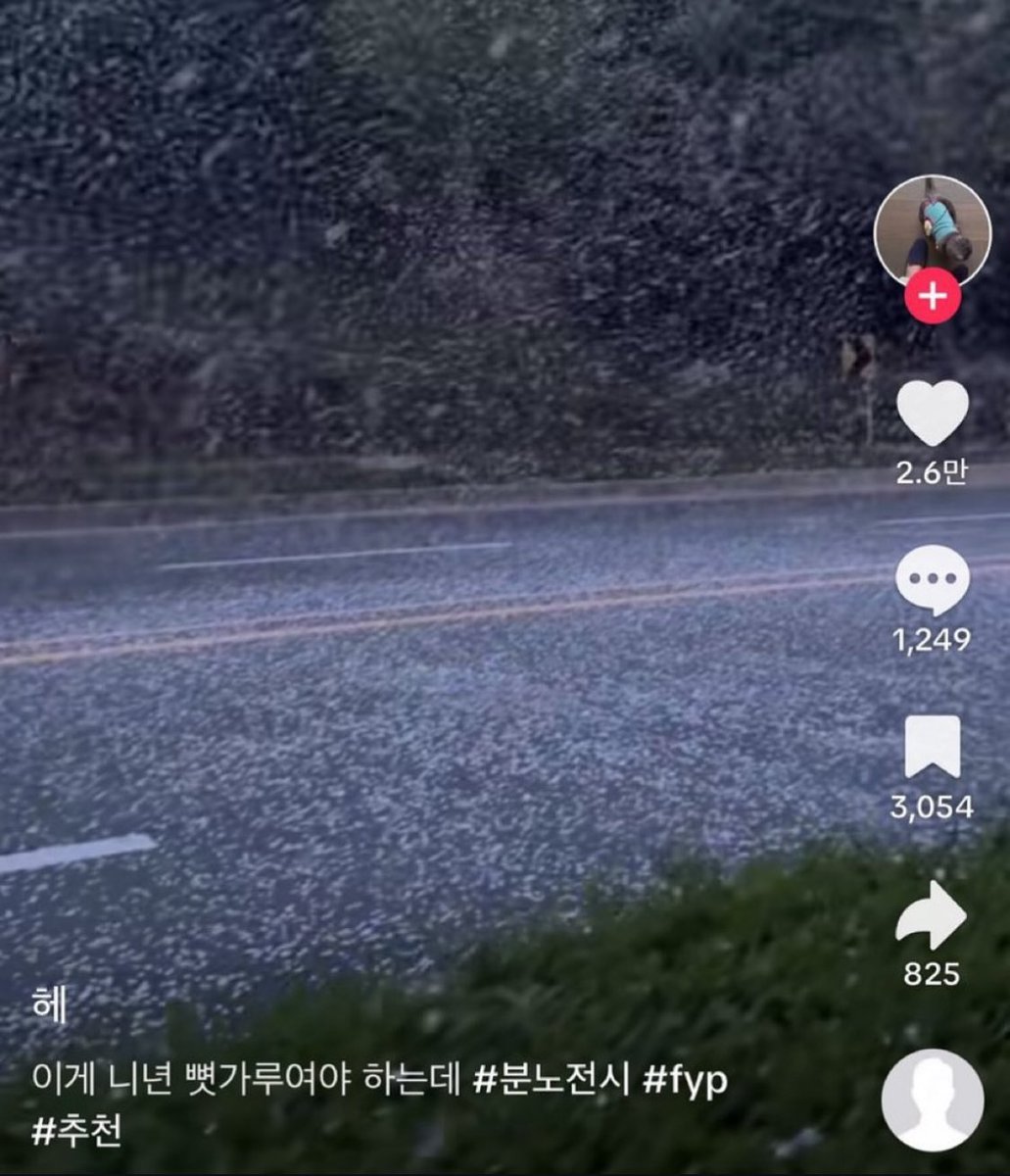 Post by Rocket on X: 이정도로 화남