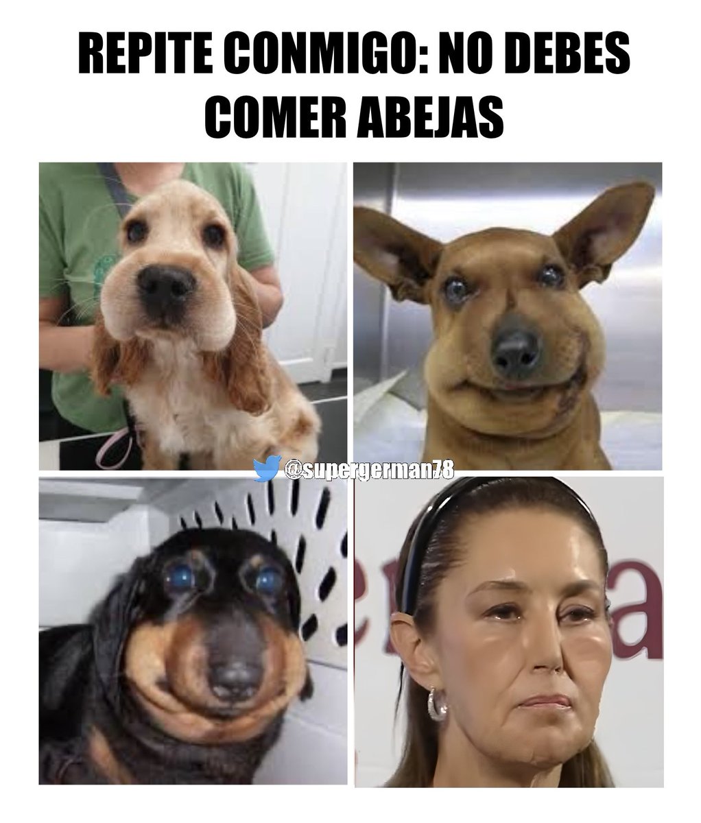 GERMAN JIMENEZ tweet media