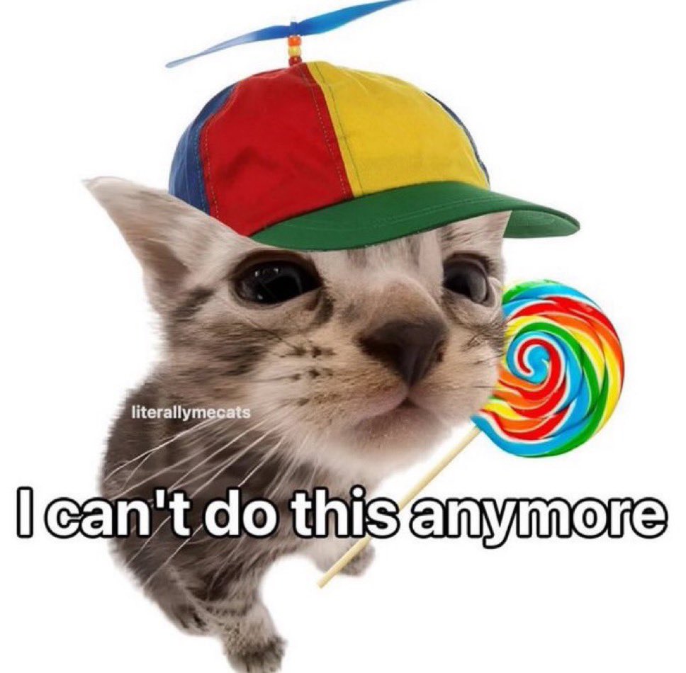 LiterallyMeCats tweet media