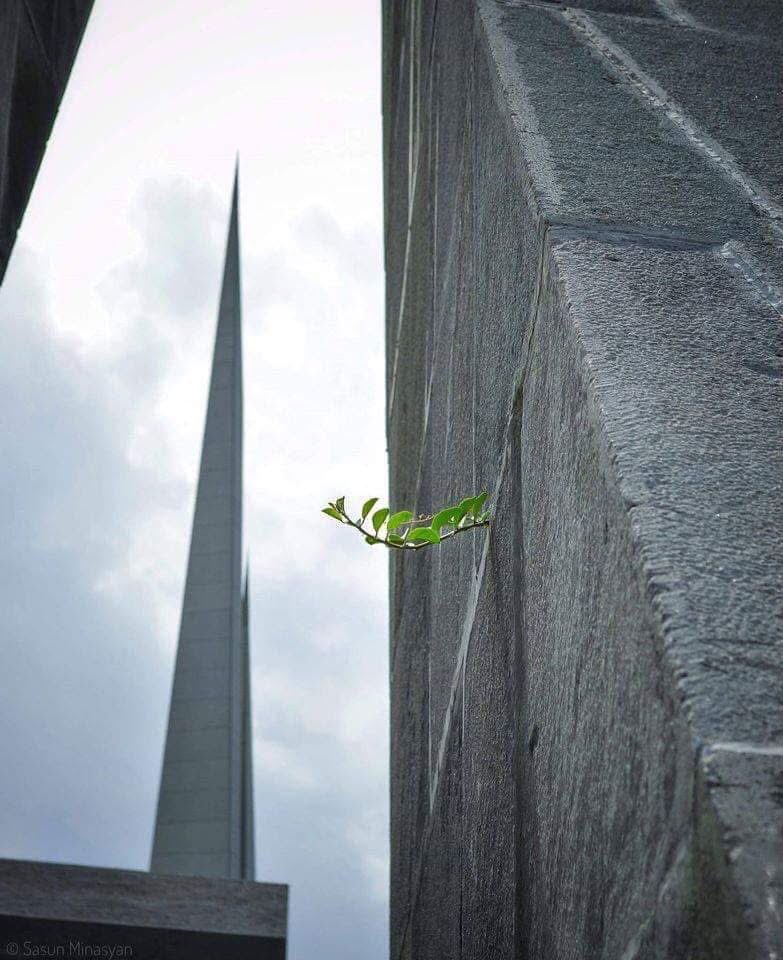 I carry this in my DNA, as do my family, future children and I will do everything in my power to ensure it is passed on to their children. 
This legacy has no expiry date. We all #rememberanddemend 

#ArmenianGenocide #NeverAgain