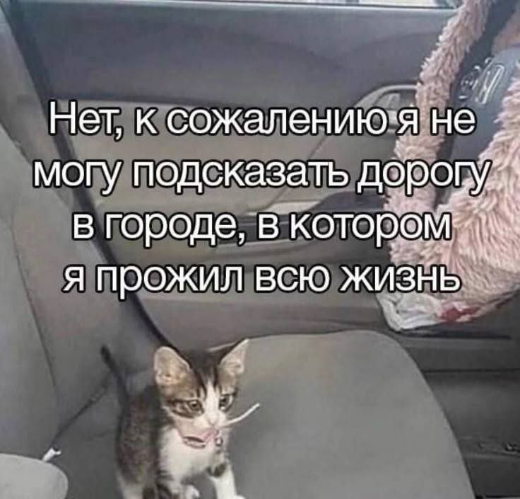 catsilcats's tweet photo. https://t.co/xxUXCtFE1w
