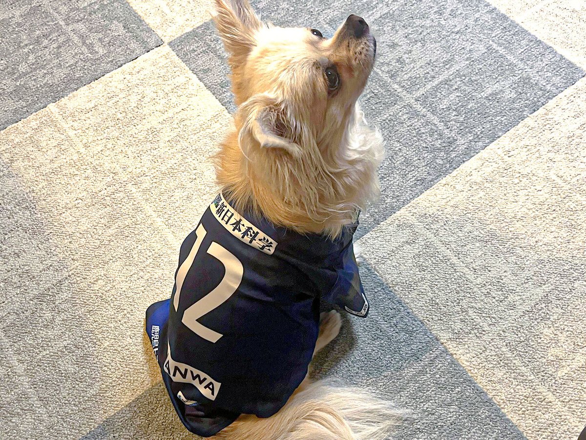 鹿児島ユナイテッドFC on X