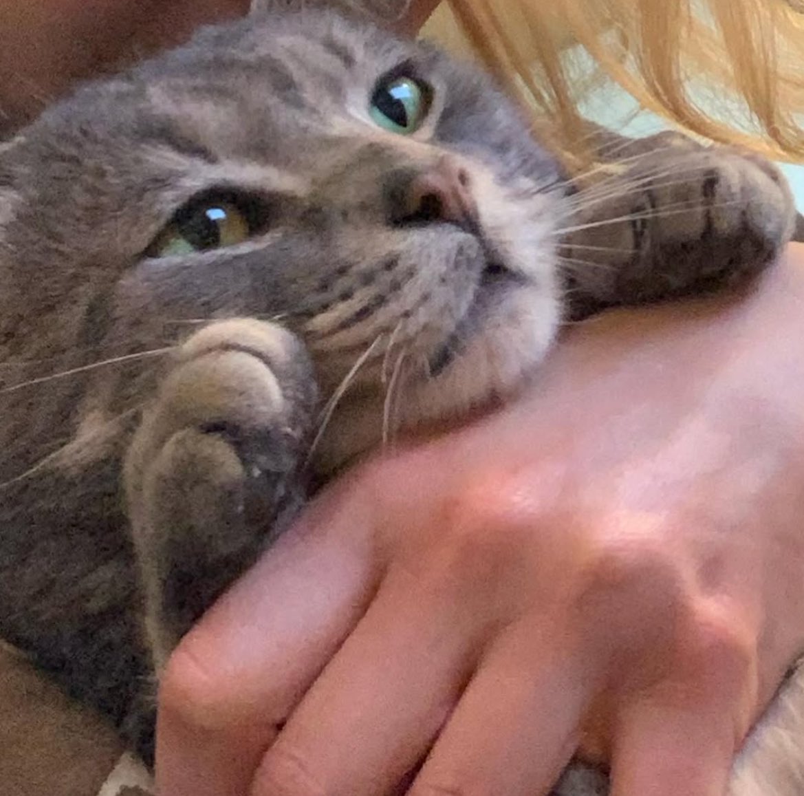 brenaisance's tweet image. MORNING. MAAF MAAF MAAF kemarin bintang nya diumpetin #blabla seharian karena ada (redacted). 😭🙏🏻

HARI INI NGOBROL YG BANYAK SAMA AKU PLIS. (foto camcul hanya pemanis, walau aku lebih manis) 🥺