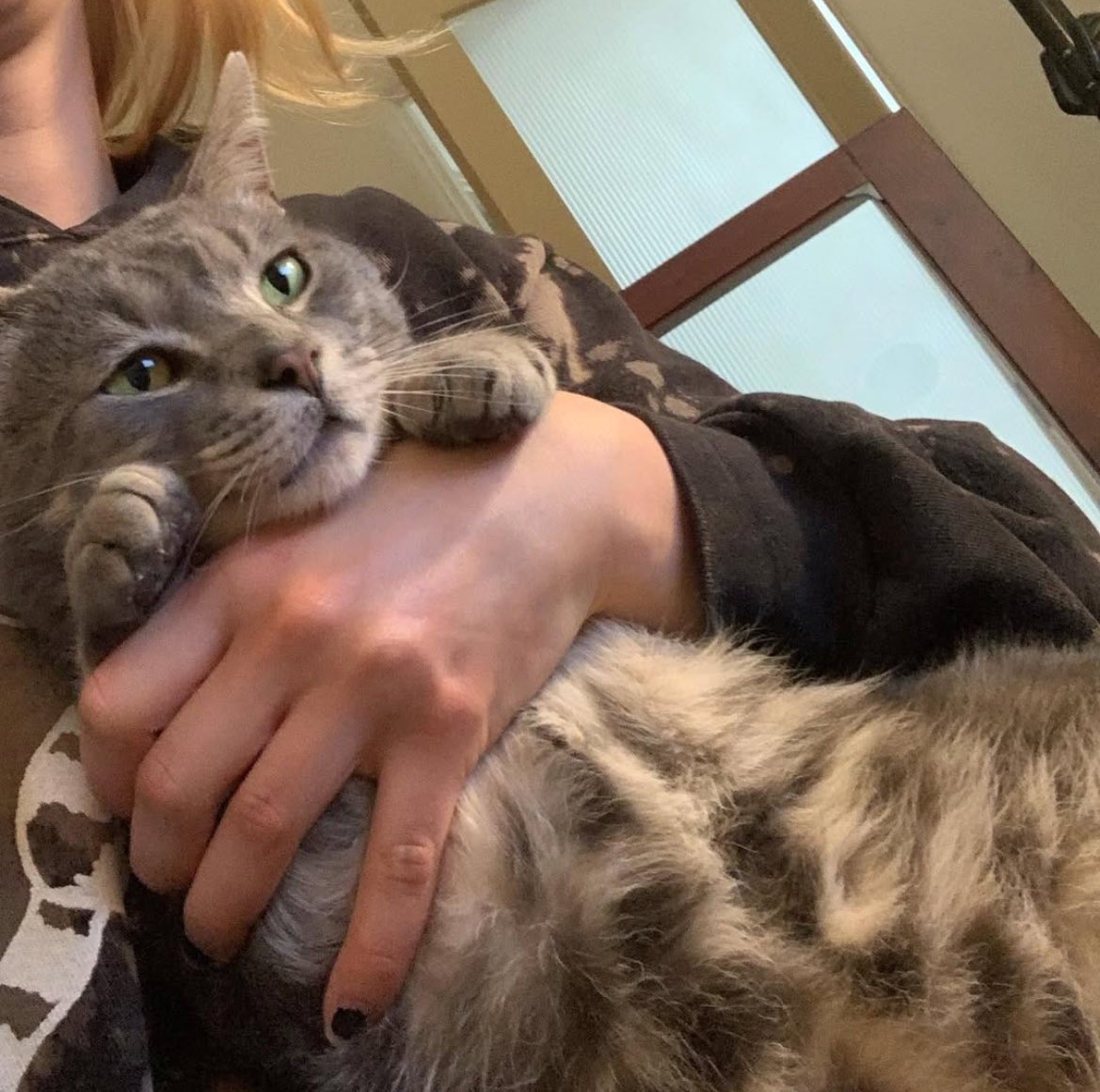 brenaisance's tweet image. MORNING. MAAF MAAF MAAF kemarin bintang nya diumpetin #blabla seharian karena ada (redacted). 😭🙏🏻

HARI INI NGOBROL YG BANYAK SAMA AKU PLIS. (foto camcul hanya pemanis, walau aku lebih manis) 🥺