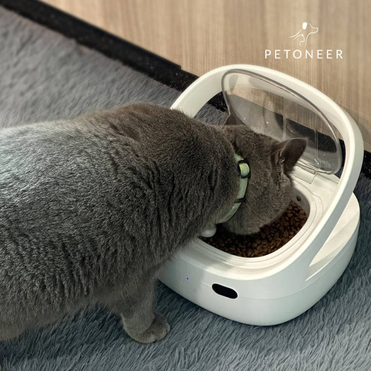 petoneer's tweet image. Supports both⚡️DC 5V 1A USB Type-C and 4x🔋LR14 batteries, NutriCare offers the flexibility of being cordless! 

petoneer.com/NutriCare?from…
🐾 #SmartPetFeeder #CordlessConvenience #NutriCare #PetTech