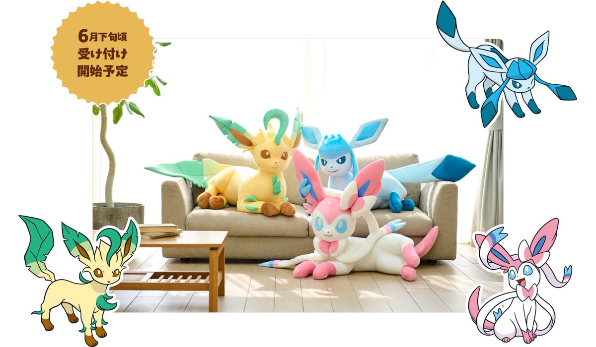 新品 ポケモン ドールズ ぬいぐるみ イーブイ サンダース エーフィ ブラッキー 新品 ポケモン ドールズ ぬいぐるみ イーブイ サンダース エーフィ