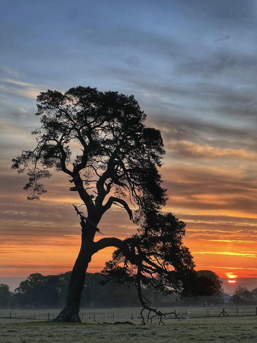 Kevin Markham tweet media