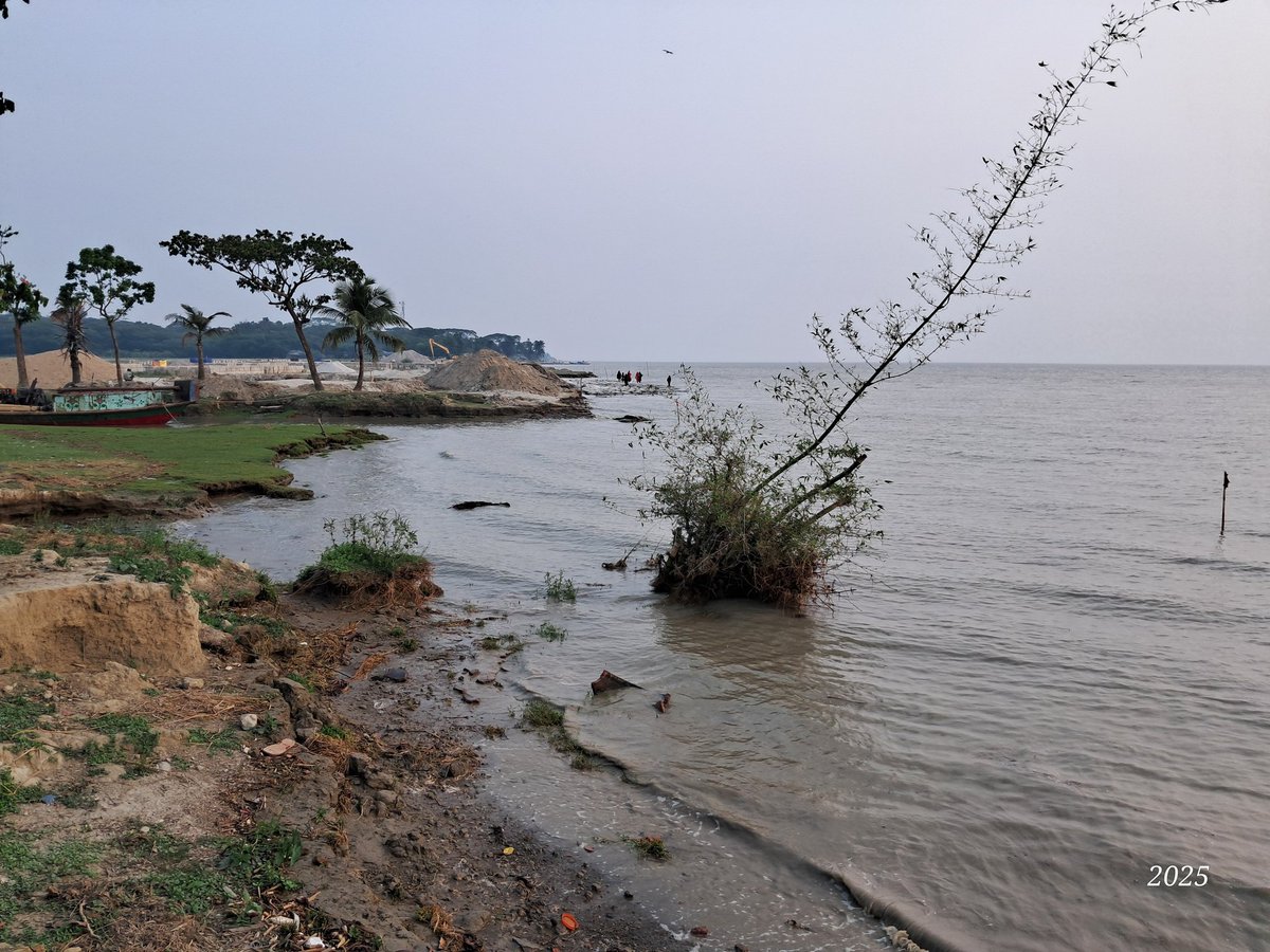 sfahammod's tweet photo. This is how the west of Patwarihat Union in Kamalnagar Upazila collapsed. The main market of the union is very close. If no steps are taken quickly to prevent the collapse before this monsoon, the union will soon cease to exist. So take quick steps to save the union. https://t.co/dEsOHg4rmL